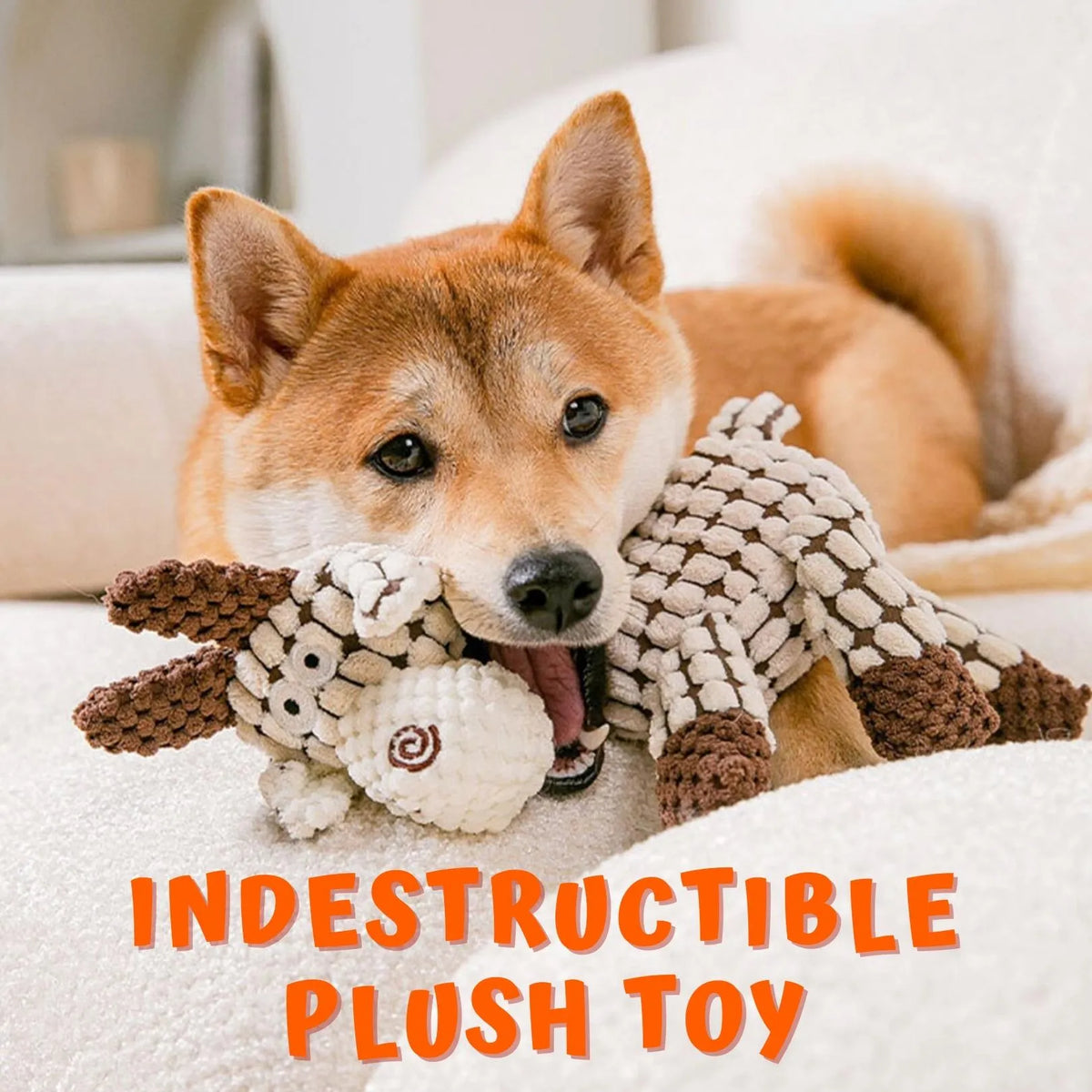 Belro indestructible plush dog toy with durable, soft fabric, designed for tough chewers and active dogs.