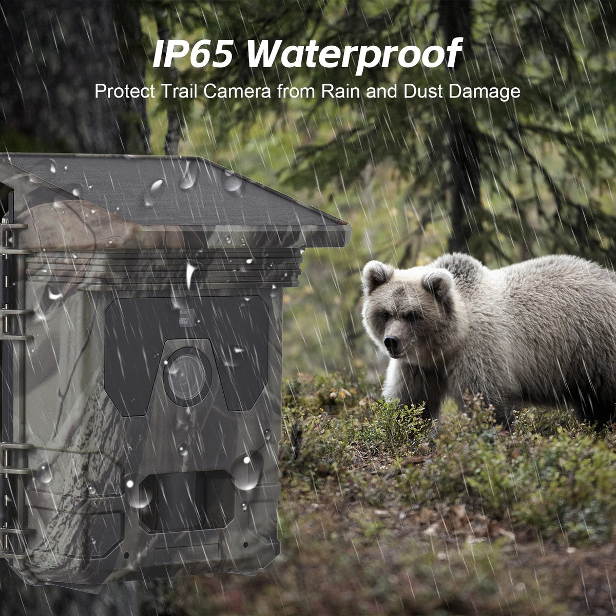 Belro solar-powered night vision trail camera capturing outdoor wildlife with infrared night vision and durable design.