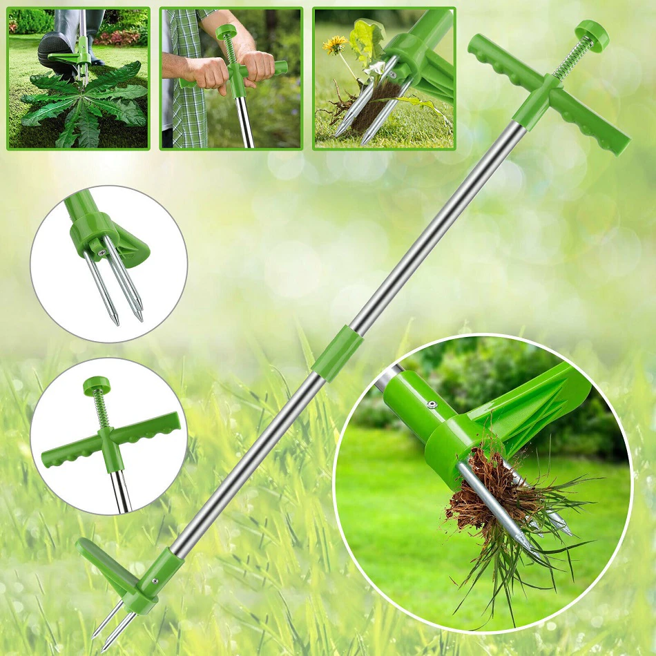 Belro long handle standing weed puller for men, featuring a durable design for easy weed removal in outdoor gardening.
