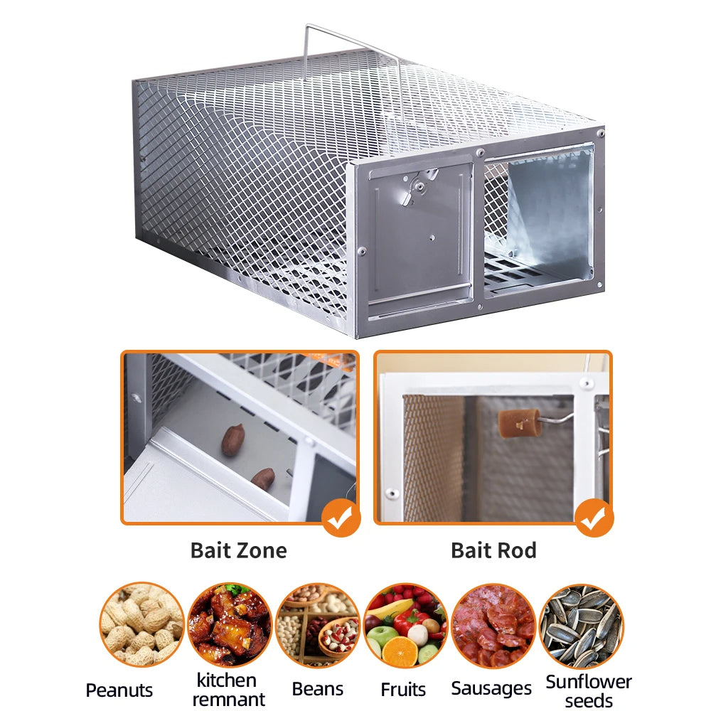Belro single door reusable metal mouse trap cage for pest control, with open door and metal mesh design for mice capture.