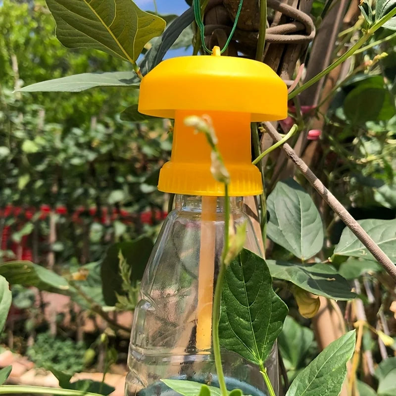 Belro fruit fly trap with hanging cover, outdoor pest control device for attracting and trapping fruit flies in the home and garden.