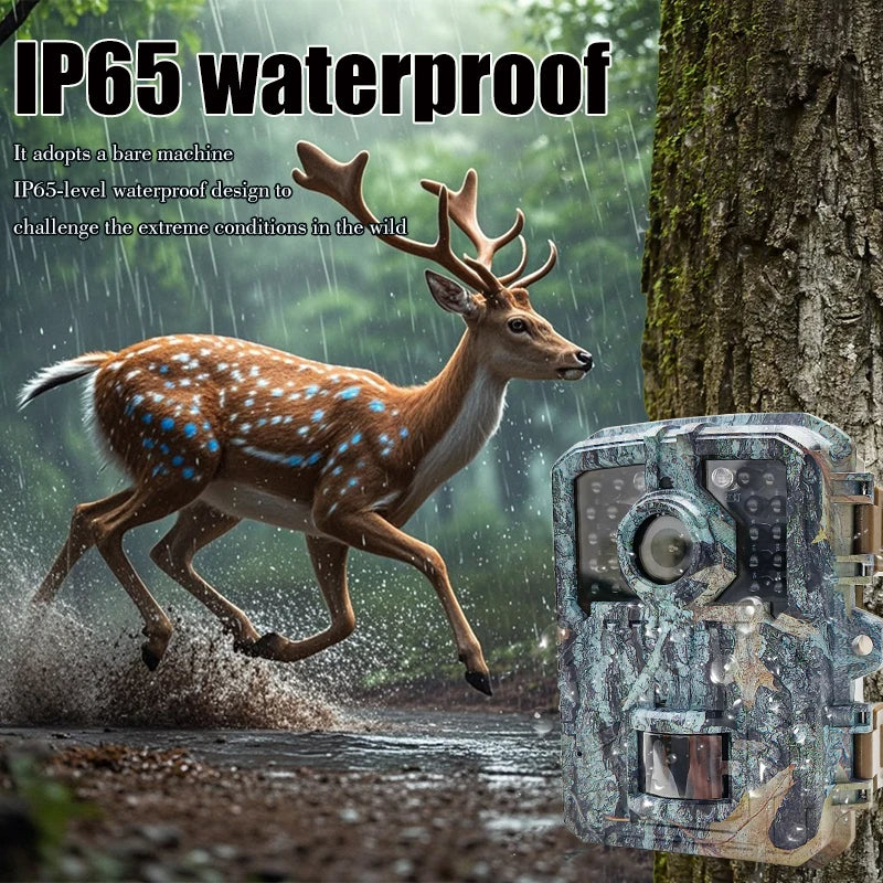 Belro Mini 16MP night vision trail camera with PIR motion detection, showing the camera body and lens in outdoor setting