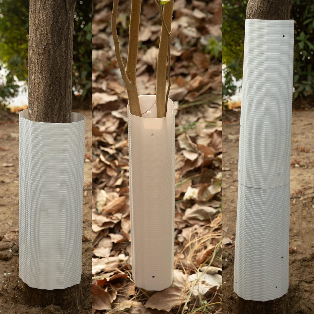 Six Belro squirrel baffles for trees, round metal protectors designed to prevent squirrels from climbing or damaging tree trunks.