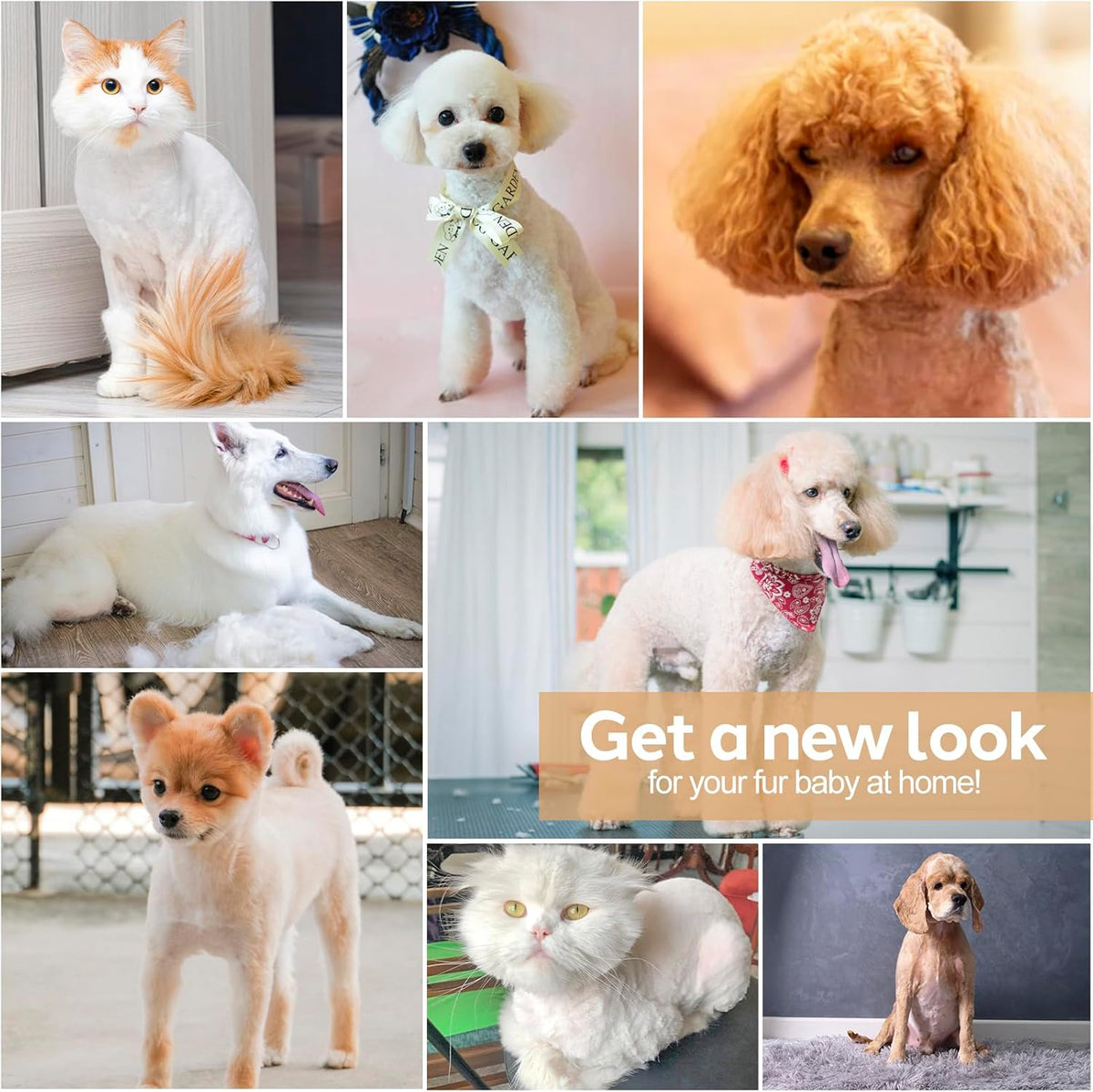Belro dog grooming clippers kit with various blades and attachments for grooming and trimming pets.