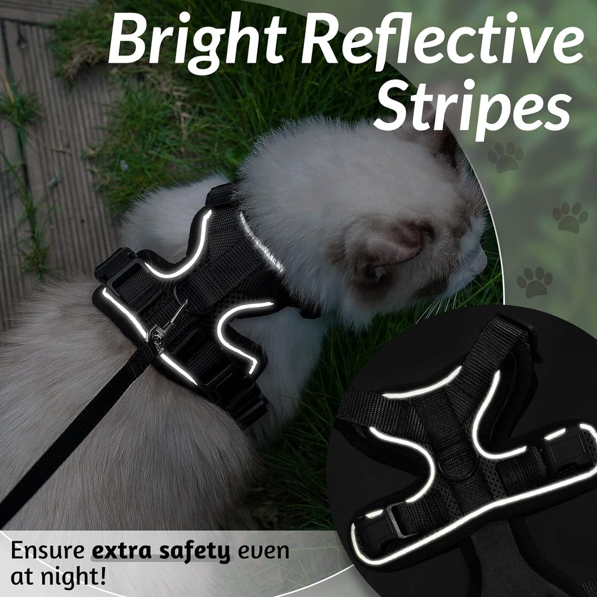 Belro escape-proof cat harness with adjustable straps and secure clip, designed for safe outdoor walks with cats.
