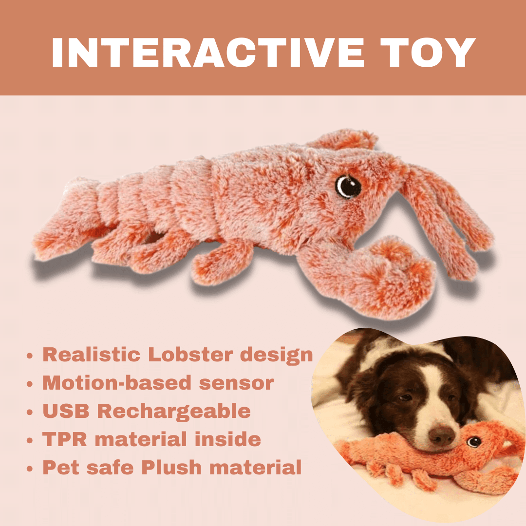 Belro Floppy Lobster interactive dog toy with soft, colorful fabric and plush texture, designed for engaging play.