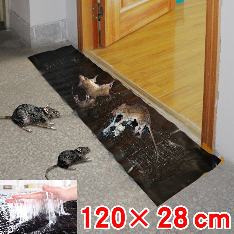 Large Belro non-toxic pest control trap for outdoor use, designed to effectively catch pests in the home and garden.