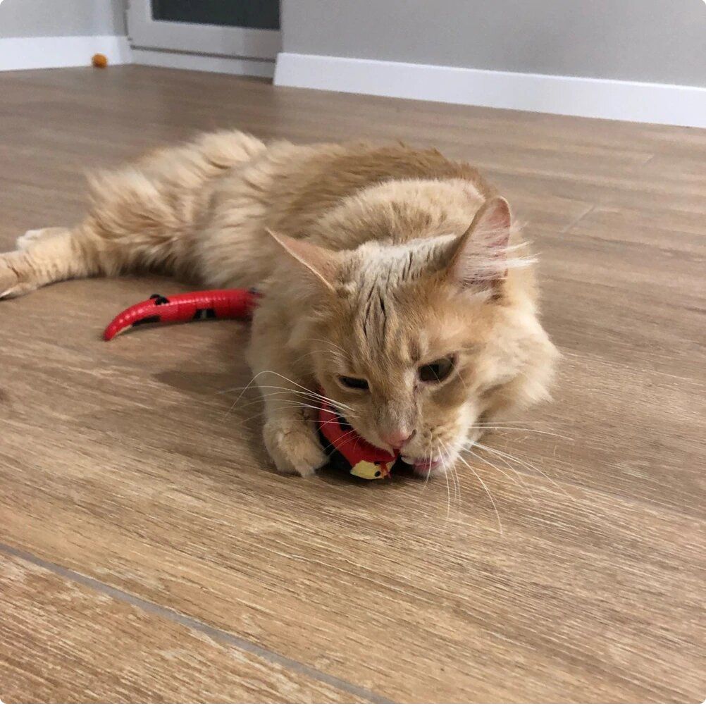 Belro Smart Sensor Interactive Snake Toy for cats, featuring a colorful, flexible snake design with a sensor for engaging play.