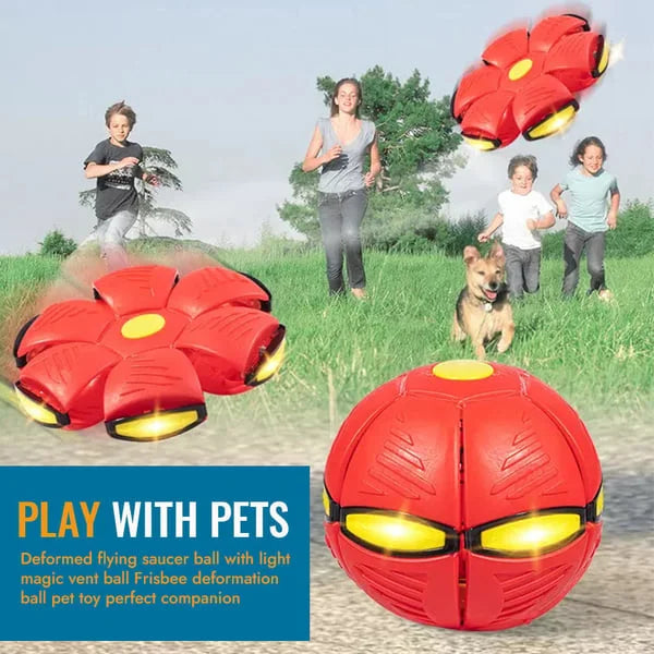 Belro Flying Saucer Ball dog toy with vibrant colors, durable pet supplies designed for active play and entertainment.