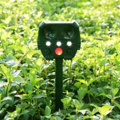 Belro ultrasonic solar snake repeller in outdoor garden setting, showing device with solar panel and pest control features