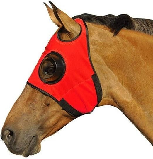 Belro horse blinders for outdoor use, featuring sturdy straps and eye protection, designed for horse comfort and safety.