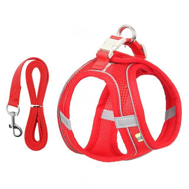 Belro adjustable harness and leash set for small dogs and cats, featuring sturdy straps and secure clip for pets.