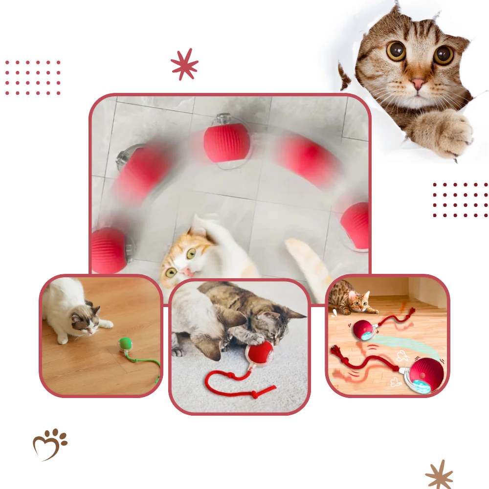 Belro Smart Interactive Cats Ball Toy for pets, featuring colorful, rolling design to entertain and engage cats during playtime.