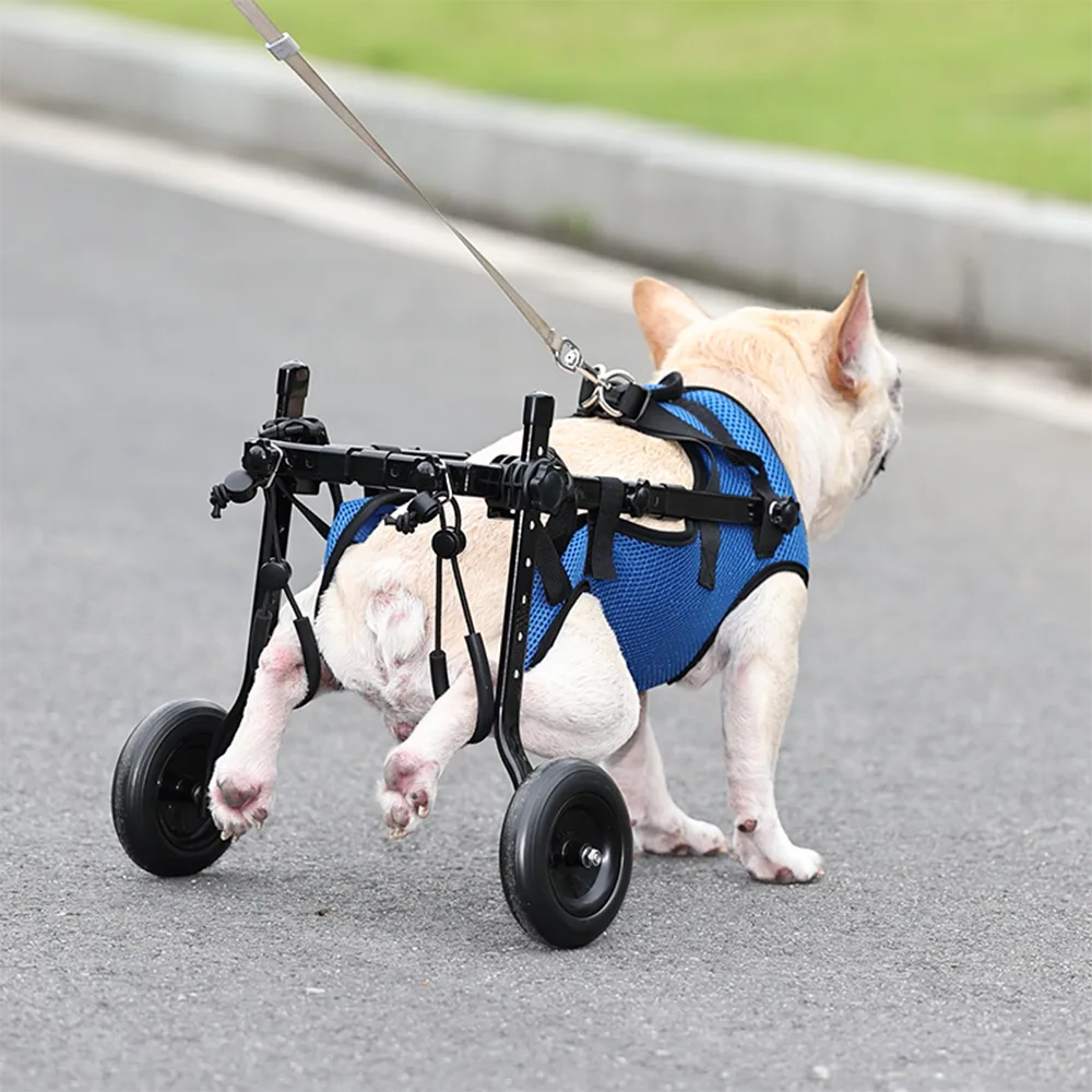 Belro dog wheelchair with adjustable hind leg support for injured or weak pets, aiding mobility and rehabilitation.