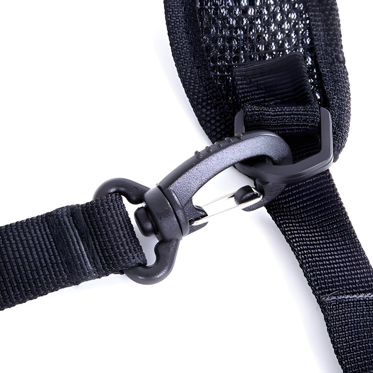 Belro dual camera chest harness system with adjustable straps for hands-free recording, suitable for outdoor filming and activities.