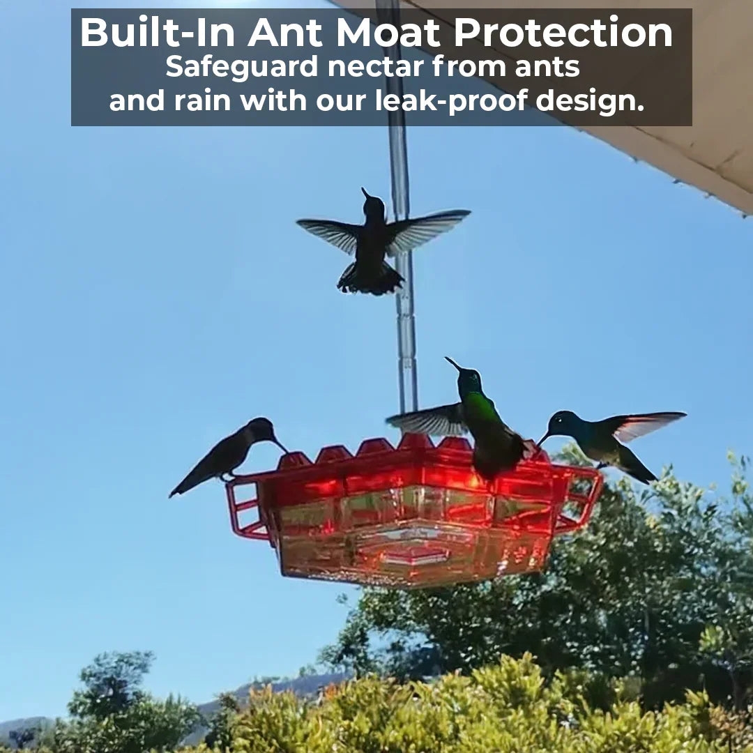 Belro ant-proof hummingbird feeder with 30 bee-resistant ports, designed for outdoor garden decor and bird feeding.