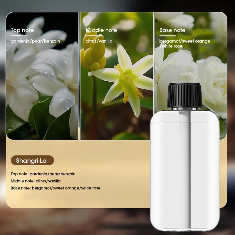 Rechargeable Belro essential oil diffuser with floral Shangri La oil and five spray modes, ideal for creating a calming fragrance.