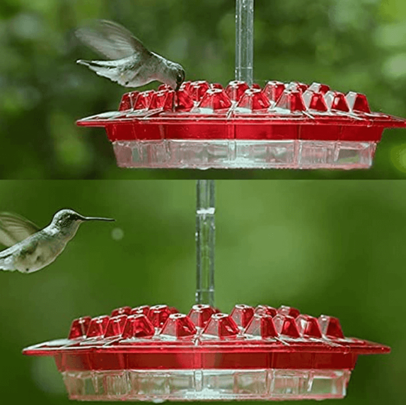 Belro ant-proof hummingbird feeder hanging perch for outdoor garden decor, featuring a durable design to attract hummingbirds.