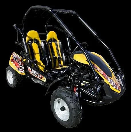 Casavibeo TrailMaster Blazer 200R mid go-kart with sturdy frame, large tires, and comfortable seat for off-road fun.