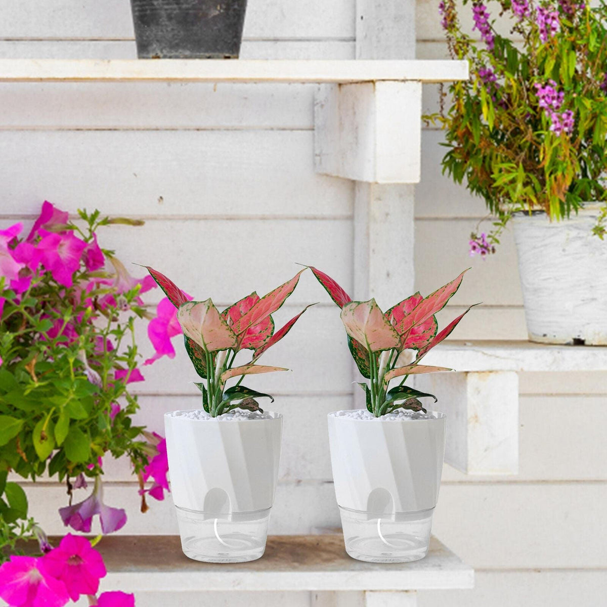 Belro self-watering planter for home and garden, outdoor planter with built-in water reservoir and modern design.