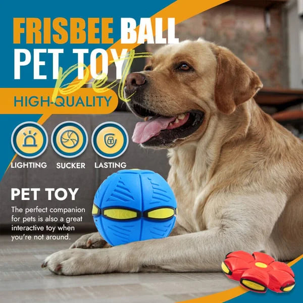 Belro Flying Saucer Ball dog toy made of durable material, designed for pets to chew and play with outdoors or indoors.