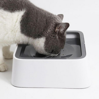 Large capacity Belro anti-overflow dog water bowl with a wide base and water level indicator for pet hydration.