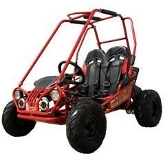 Blue Trailmaster Mini XRX+ 2-seater go-kart from Casavibeo Eagle Series with 163cc engine, shown in a vibrant blue color.