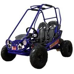 Blue Trailmaster Mini XRX+ 2-seater go-kart from Casavibeo, featuring a compact design and 163cc engine in the Eagle Series.