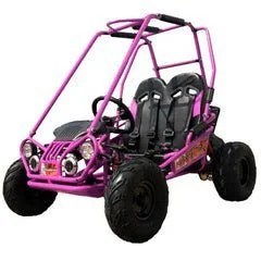 Blue Trailmaster Mini XRX+ 2-Seater Go-Kart from Casavibeo, Eagle Series with 163cc engine, shown from side angle.