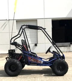 Blue Trailmaster Mini XRX+ 2-seater go-kart from Casavibeo's Eagle Series with 163cc engine, shown on a white background.