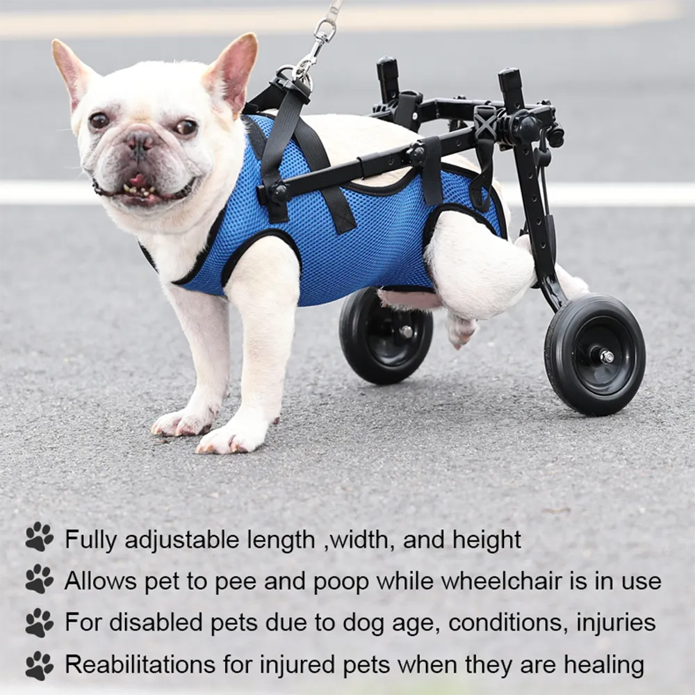 Adjustable dog wheelchair with hind leg support bracket for injured or weak dogs, designed by Belro for rehabilitation and mobility aid