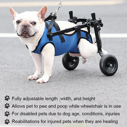 Adjustable dog wheelchair with hind leg support bracket for injured or weak dogs, designed by Belro for rehabilitation and mobility aid