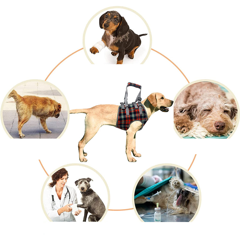 Mivoza orthopedic dog harness with adjustable straps, supporting rear and front legs, made of breathable material for pet mobility.