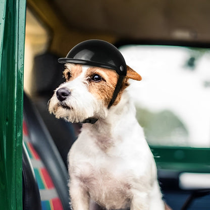Belro dog motorcycle helmet with goggles, featuring a sleek design and adjustable straps for safety and comfort.