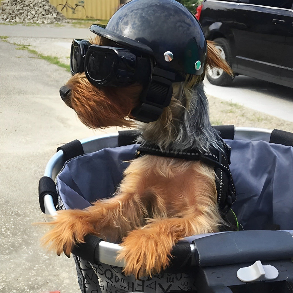 Belro dog motorcycle helmet with goggles, designed for pets, featuring a sleek helmet and protective goggles for riding safety.