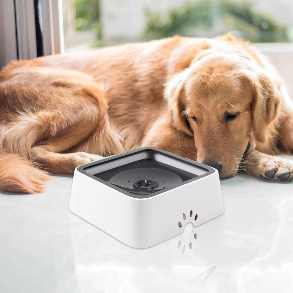 Large capacity Belro dog water bowl with anti-overflow design, suitable for feeding and watering dogs in pet supplies.