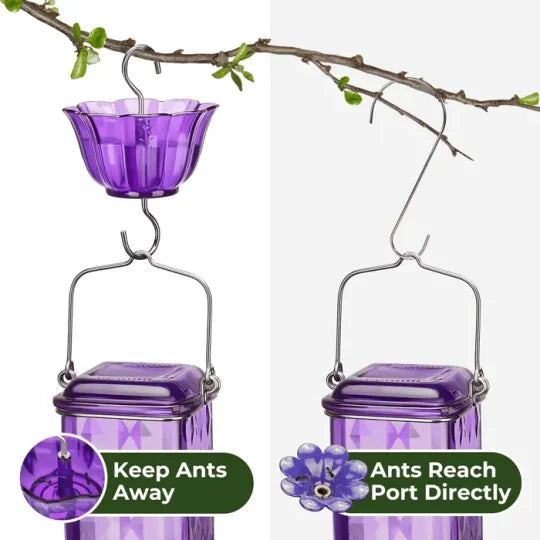 Clear 24oz leak-proof glass hummingbird feeder with red accents and perches, designed for attracting hummingbirds in garden decor.