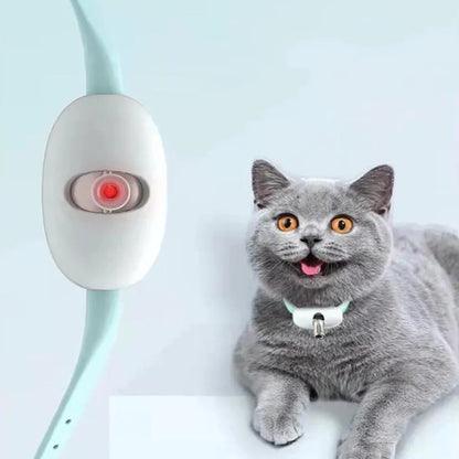 Belro interactive laser cat collar with USB charging, featuring a laser pointer toy for cats, shown in a close-up image.
