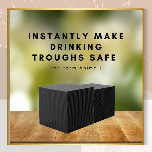 Belro Bio Cube water purifier for livestock, aquarium, and horse trough, showcasing the compact device in a farm setting