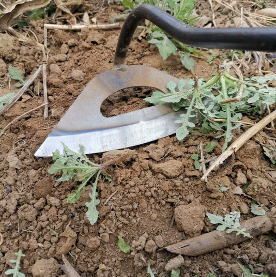 Belro all-steel hollow hoe for gardening with a long wooden handle, ideal for tilling and soil cultivation in outdoor gardens.