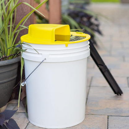 Belro reusable humane auto-reset bucket cover mouse trap with a clear plastic cover and metal trigger mechanism for pest control.