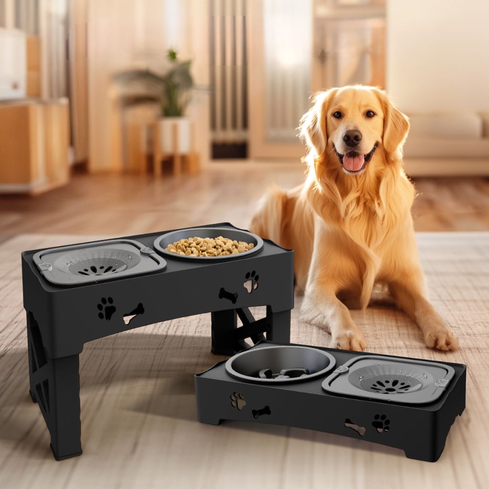 Belro adjustable raised slow feeder for dogs, designed to promote healthy eating and reduce choking in pet feeding areas.