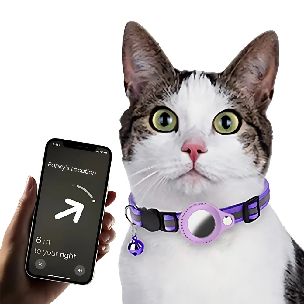 Belro waterproof reflective pet Airtag holder collar with secure strap and reflective strip for visibility during walks.