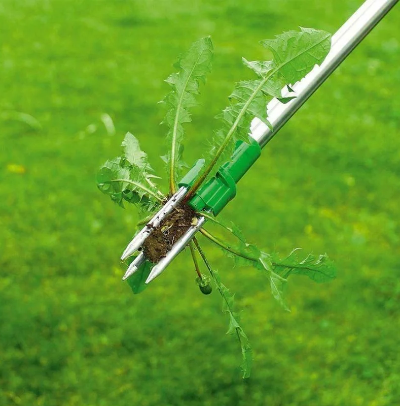 Belro men's long handle standing weed puller with ergonomic design for easy garden weed removal.
