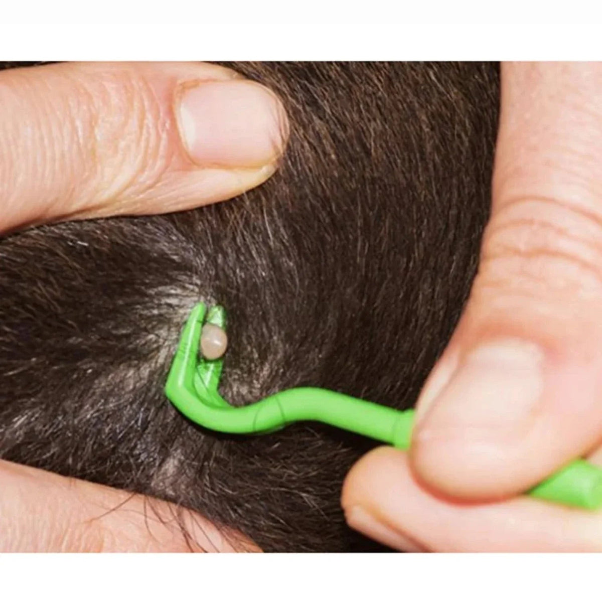 Belro tick removal device for dogs, a pet supplies tool designed to safely remove ticks from pets' fur.