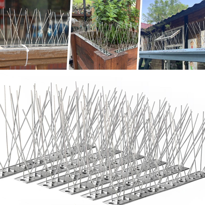 Belro outdoor stainless steel bird repeller spikes mounted on a garden surface to deter birds and protect outdoor spaces.