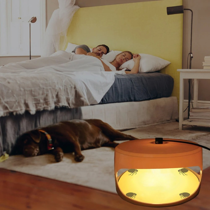 Belro indoor bed bug trap with sticky surface and entry funnel, designed for effective pest control in home and garden settings.