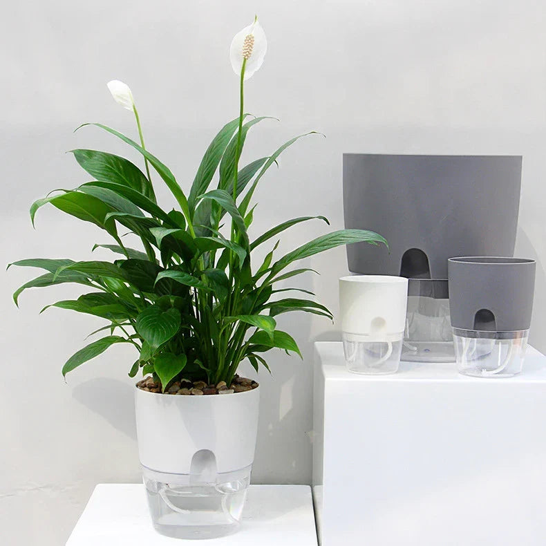 Belro self-watering planter for outdoor home and garden, featuring a sleek design with integrated watering system and drainage.