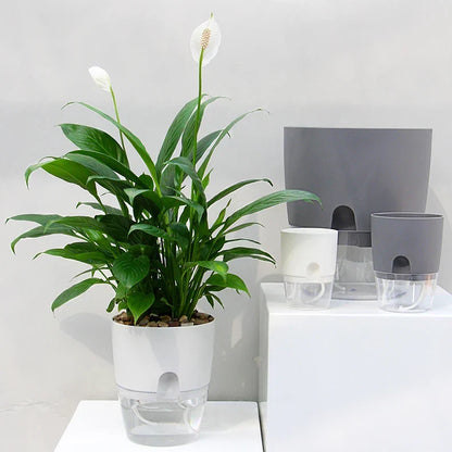 Belro self-watering planter for outdoor home and garden, featuring a sleek design with integrated watering system and drainage.
