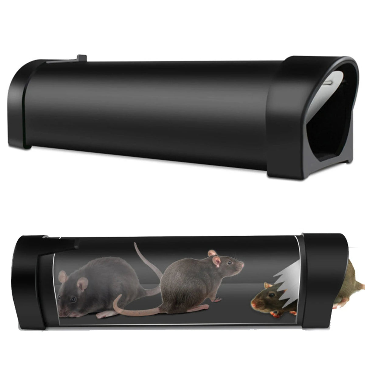 Belro reusable humane mouse trap in outdoor pest control, showing the catch and release design for safe rodent handling.